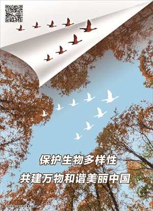 生物多样性-3