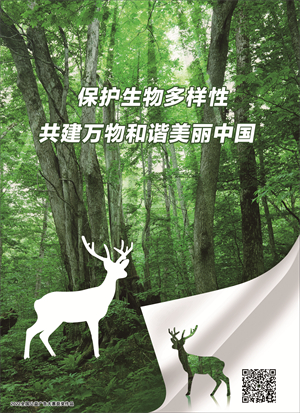 生物多样性-1